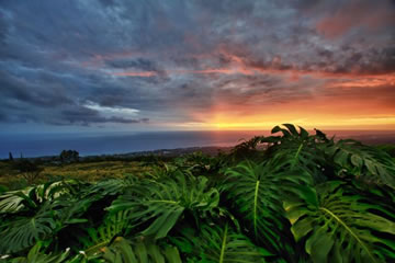 Spectacular Sunsets