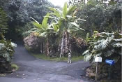 thumb_14_photo3.jpg