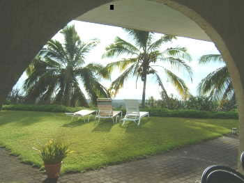 View from dining table
