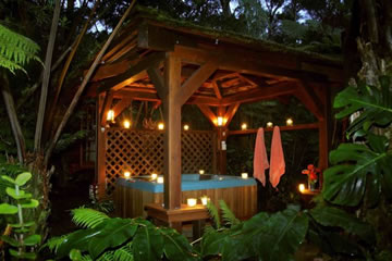 Forest House Jacuzzi