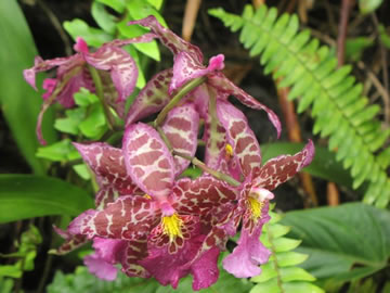 thumb_47_2f.jpg