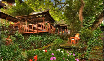 Kona Coffee Country Comfort